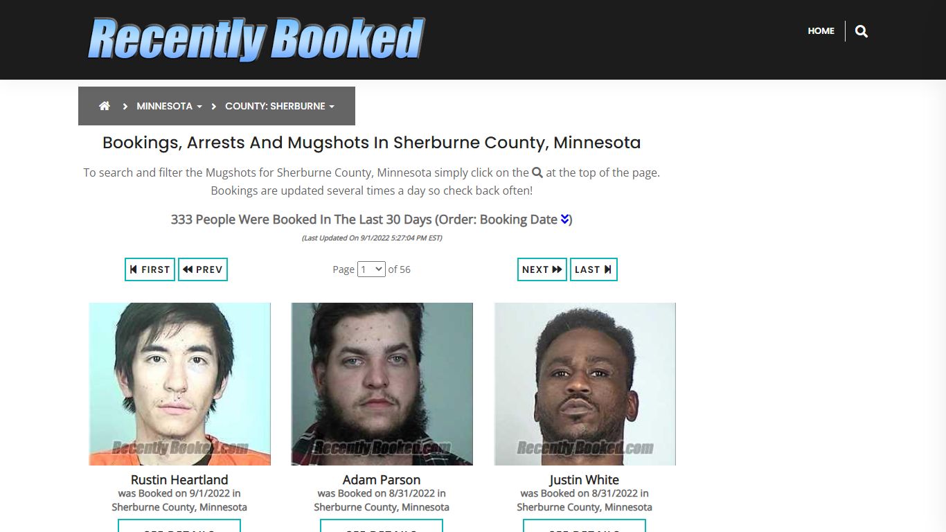 Bookings, Arrests and Mugshots in Sherburne County, Minnesota